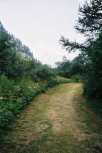 Chemin entre Vallorcine et le Buet